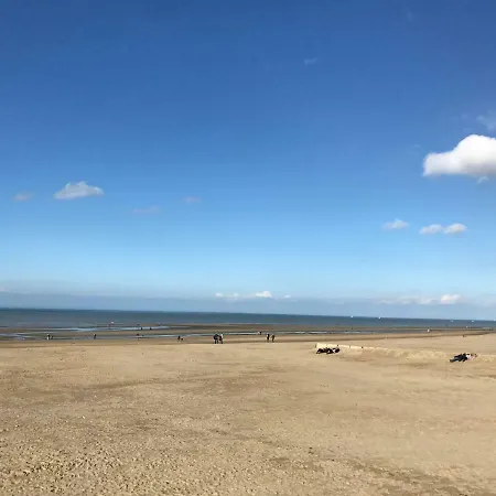 Апартаменты App Zeelaan A2 Коксейде