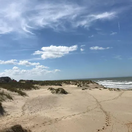 App Zeelaan A2 * Коксейде