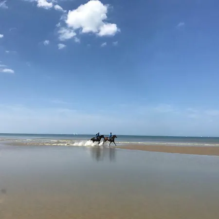 Апартаменты App Zeelaan A2 *