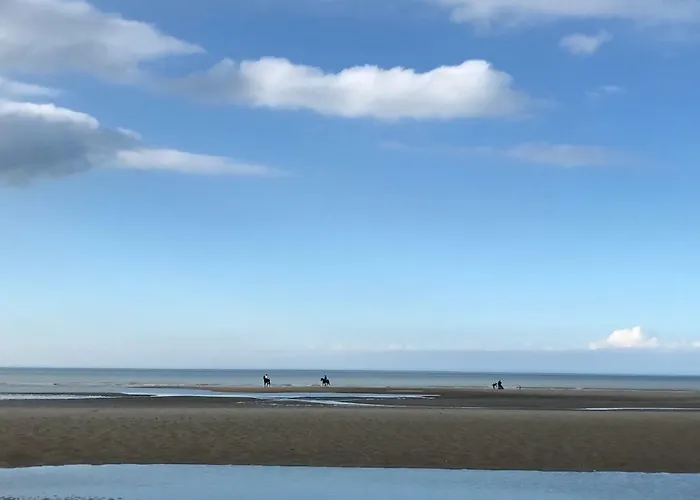 Apartment App Zeelaan A2 *