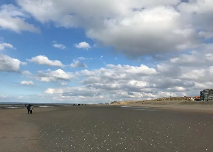 Apartment App Zeelaan A2