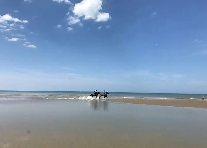 Apartment App Zeelaan A2 *